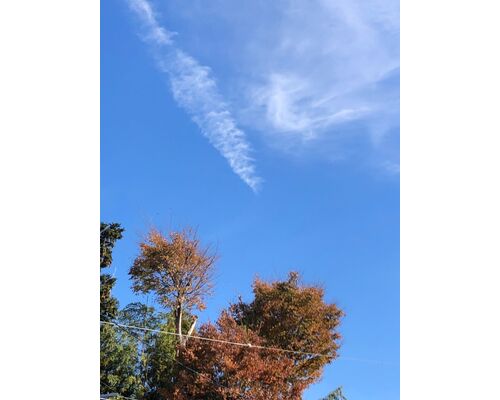 2022.11.24-1