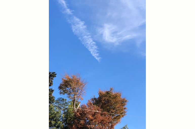 2022.11.24-1