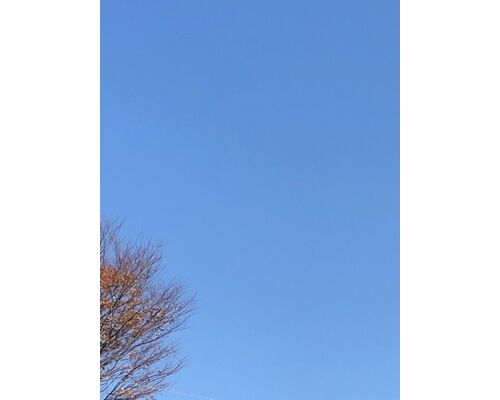 2022.12.12