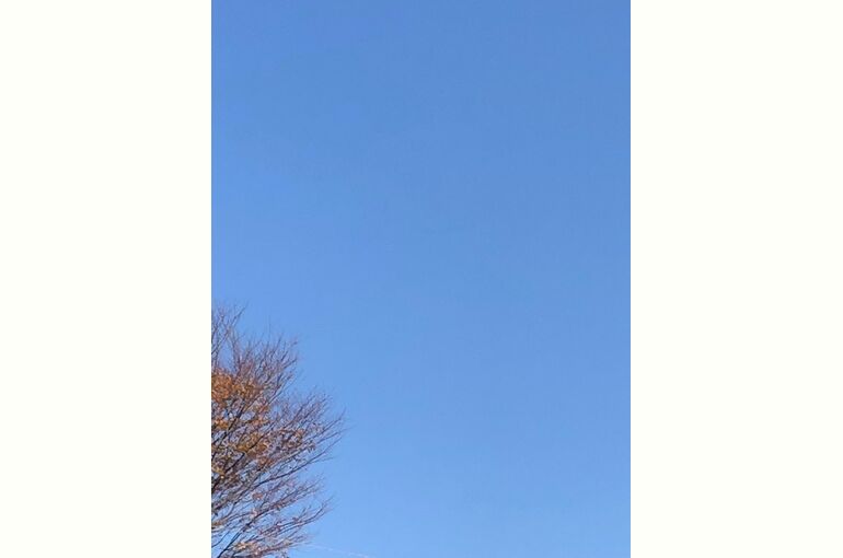 2022.12.12