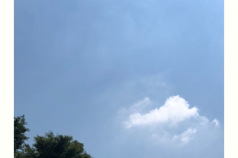 2023.06.07