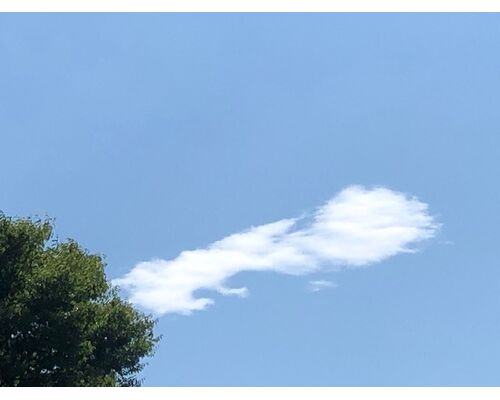 2023.06.29