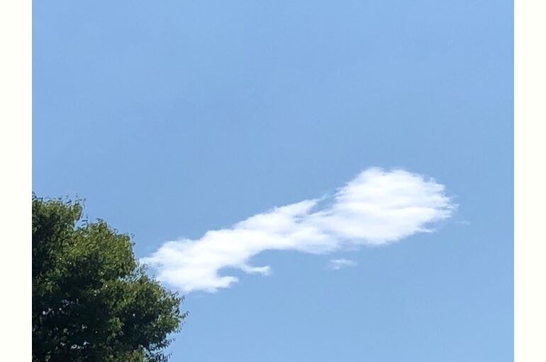 2023.06.29
